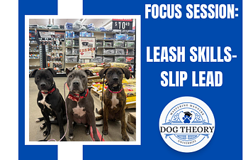 Book Focus Session: Leash Skills - Slip Lead