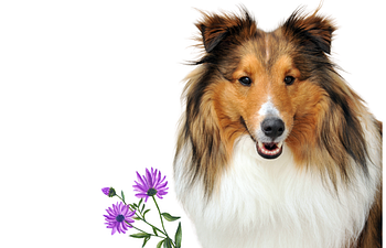 Book Private Session - 60 Minutes