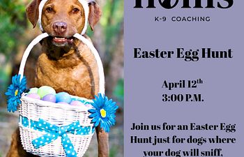 Book Easter Egg Hunt