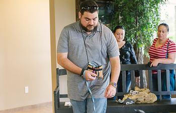 Book Basic Obedience Class at Lake Olympia Animal Hospital