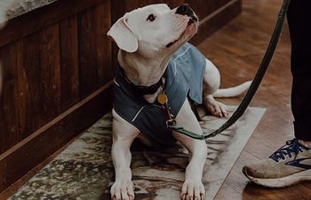 Book Growler's Gathering- Level 2