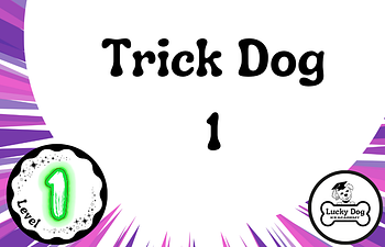 Book Level 1 | Trick Dog 