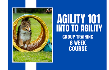 Book Agility 101:Introduction to Agility 