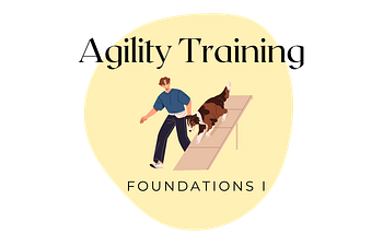 Book Agility Foundations I