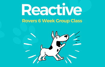 Book Reactive Rovers 6 Lesson Group Class