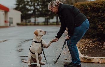 Book 2. Follow Up/Skills Lesson- Out of town