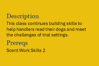 Book Scent Work Skills 3