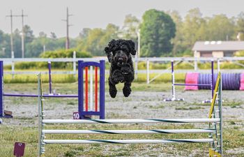 Book Agility: Handling Basics