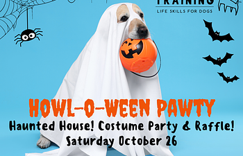 Book HOWL -O - WEEN PAWTY - Private Booking For Dogs Who Don't Enjoy Other Dogs