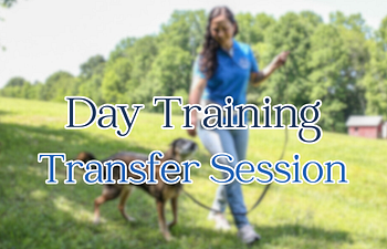 Book Day Training Transfer Session