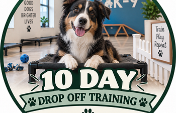 Book 10 Day Training