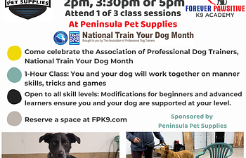 Book National Train Your Dog Month