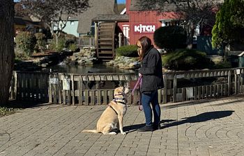 Book Life Skills: Public Spaces