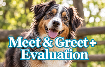Book Meet & Greet + Evaluation