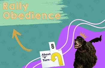 Book Rally Obedience - Excellent / Masters