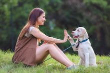 Book Puppy Socialization Drop In