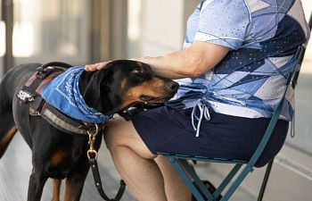 Book CT303 Your Dog to Share