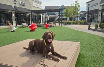 Book Private Lesson-Tulsa