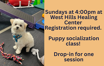 Book Puppy Drop-In