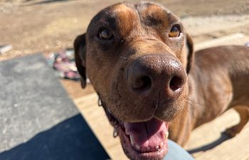 Book 1x1  Continued Coaching