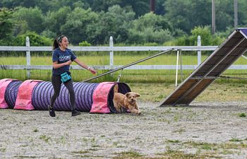 Book Agility Ring Rental
