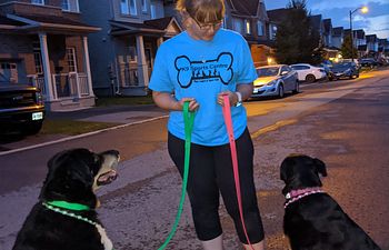 Book Canine Good Neighbour Prep Class