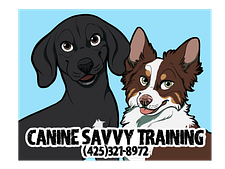 Canine Savvy Training and Behavior