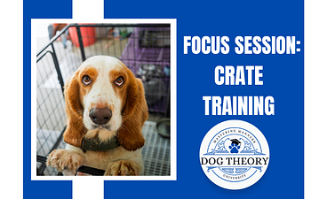 Book Focus Session: Crate Training 