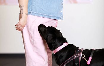 Book Level 4 - Medical Alert Task Training