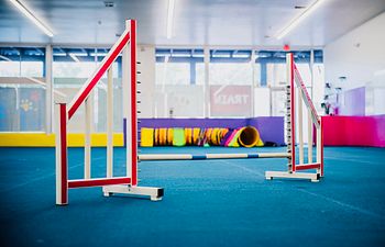 Book Drop In Agility  Handling 3 class package