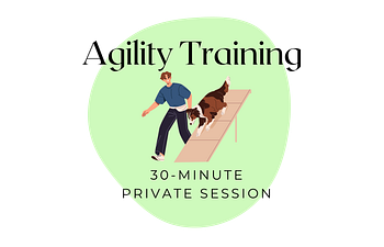 Book Agility - 30 min. Private Lesson