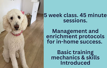 Book Foundation Skills- Level 1: In-home Success