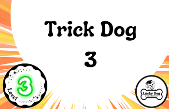 Book Level 3 | Trick Dog