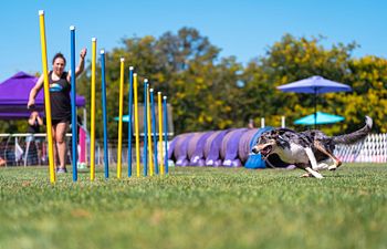 Book Weave Proofing - Agility Workshops