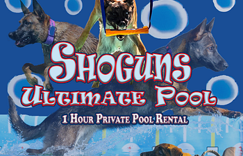 Book 1 Hour Private Pool Rental  