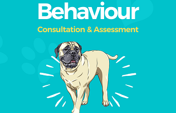 Book Behaviour Consultation and Assessment - $150