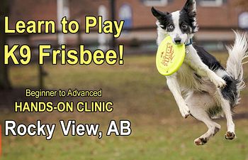 Book Dog Frisbee Clinic with Mark Vitullo