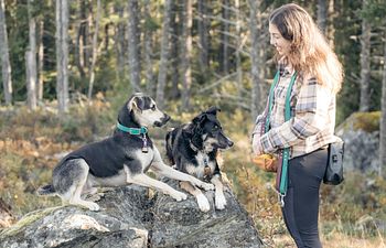 Book Initial Consultation