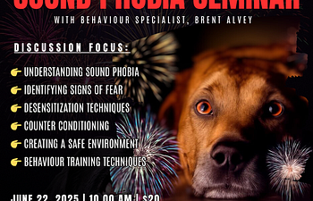Book Sound Phobia Seminar
