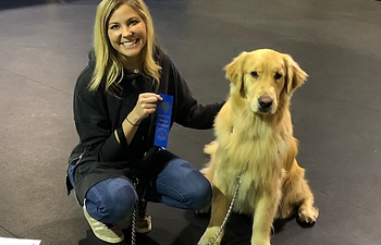 Book Better Family Dog Manners / Canine Good Citizen (Initial Meeting)