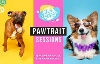 Book Pawtrait Photography Service