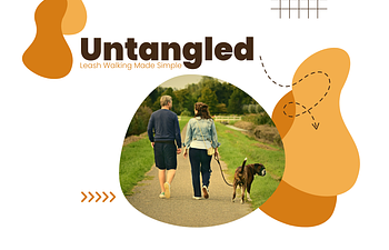 Book Untangled - Leash Walking Program Part 2