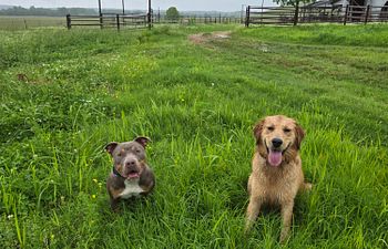 Book Adventure Days-Tulsa