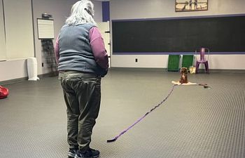 Book Life Skills: Sensational Stays