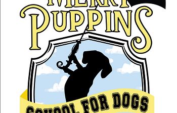 Book Puppy Manners Class