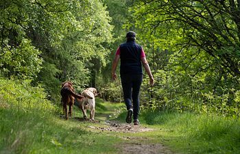 Book Follow-up and continuation 1-to-1 session (Hazelhead Park)