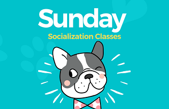 Book Weekly Drop-In Socialization Group | Silverbridge Park | 1st Sunday