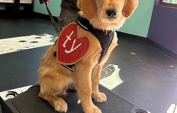 Book Party: Howl-O-Ween Fun House (Members Only)