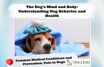 Book The Dog's Mind and Body: Common Medical Conditions & Pain in Dogs