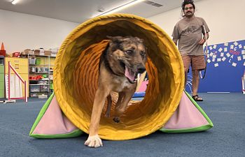 Book Agility Foundation Level 1